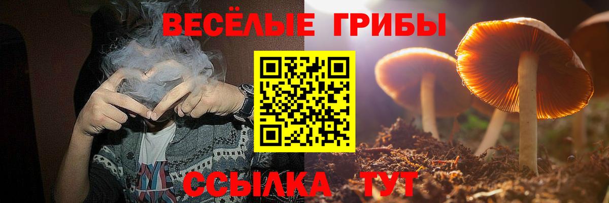 Щёкино  Галлюциногенные грибы мухоморы  Вход с VPN 