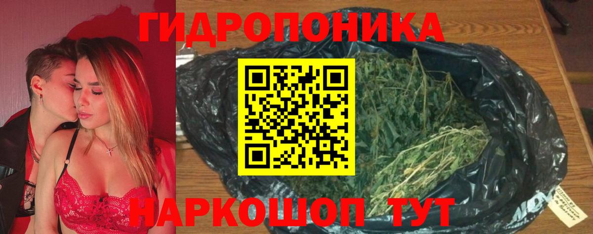 Канабис индика  Бошки марихуана конопля  Щёкино  Вход с VPN 